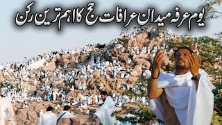 Live Arafat Ka Maidan  Maidan e Arafat  Jabl E Rehmat  Hajj 2024  Eid ul Adha 2024  عرفہ [upl. by Nageet513]