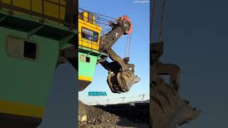 Coal loading excavator machine  shorts youtubeshorts [upl. by Errick]