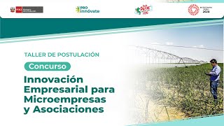 III Taller de postulación al Concurso Innovación Empresarial para Microempresas y Asociaciones [upl. by Nyvlem]