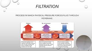 Diffusion Osmosis Filtration definition and examples [upl. by Rosenwald]