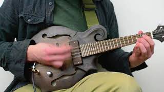 Electric Mandolin Demo  DarkwoodUSA  F Style [upl. by Craggy909]