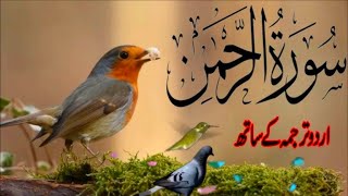 SURAH RAHMAN TARJUMA K SATH  BY QARI Al SHAIKH MUHAMMAD  EP 00243  QURAN TILAWAT BEAUTIFUL VOICE [upl. by Ahsilra584]