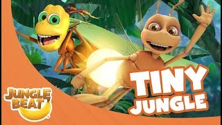 Tiny Jungle  Jungle Beat Compilation Full Episodes [upl. by Tawnya]