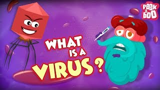 What Is A Virus   Best Learning Videos For Kids  Dr Binocs  Peekaboo Kidz [upl. by Alamap]