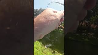 Lipless Crankbait Catch Barely Hooked Fish [upl. by Monica]