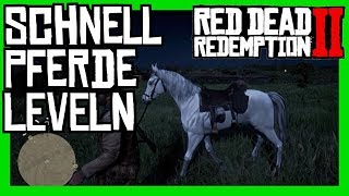 Red Dead Redemption 2  Pferde schnell leveln  Pferde Verbundenheit Stufe erhöhen [upl. by Celin]