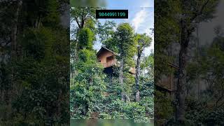 Resort for sale in Coorg 3 Acres converted land Prime Tourist hub Running Resort Clear title [upl. by Ahtnicaj352]