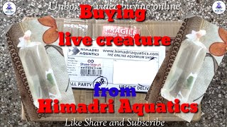 Unboxing new fish  online fish buy  himadari aquatics  bunnycart [upl. by Maag]