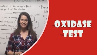 Oxidase Test [upl. by Cyprian]