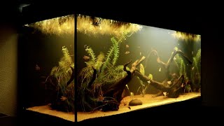 Adding new Plants to Aquarium and Removing Hair Algae  Juwel Rio 180 LED [upl. by Yanehc]