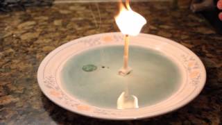 7 Simple Science Tricks With Household Items [upl. by Adniralc]