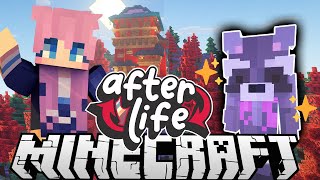 🦝Raccoon Powers 🦝 Ep 1  Afterlife Minecraft SMP [upl. by Nuavahs581]