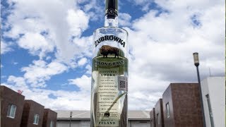 Vodka Notas de Cata y Review Detrás de cámaras  02  ŻUBRÓWKA BISON GRASS [upl. by Robinetta]