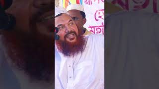 Allama Kamrul Islam Sayed Ansary waz roseislamictv24 shorts [upl. by Philoo956]