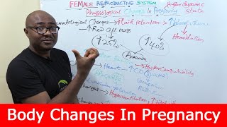 Physiological Changes In Pregnancy [upl. by Noeht]