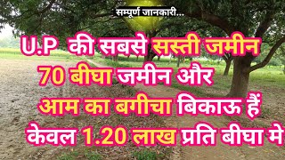 70 बिघा जमीन बिकाऊ है मात्र 120 लाख रुपए में agriculture land for sale [upl. by Tani75]