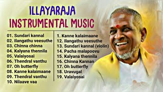 Ilayaraja Instrumental Music amp BGMs  ilayaraja instrumental music collectionFlute Violin veenai [upl. by Moth]