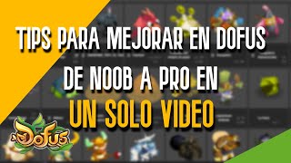 MEJORA TU VIDA EN DOFUS [upl. by Sparks901]