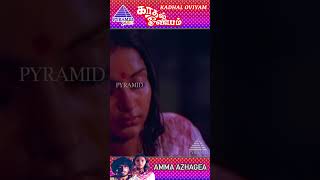 Amma Azhage Video Song  Kadhal Oviyam Movie Songs  Kannan  Radha  Ilaiyaraaja  ytshorts [upl. by Lewes570]