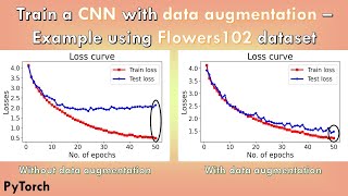 Train a CNN with data augmentation  Example using Flowers102 dataset [upl. by Yenttirb]