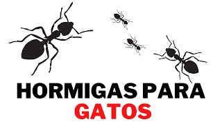 Video de Hormigas para Gatos ✅ 1 HORA ✅ Juego de Hormigas Corriendo en Pantalla [upl. by Ano]