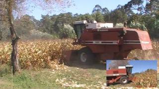 koszenie kukurydzy 2011 Portugal  Laverda 3450  corn harvest [upl. by Kessiah]