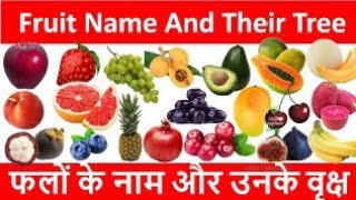 fruit names [upl. by Bronny]