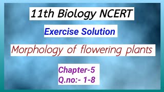 11th Biology NCERT Exercise Solution Chapter5 Morphology of flowering plantsQno 18 [upl. by Wier]