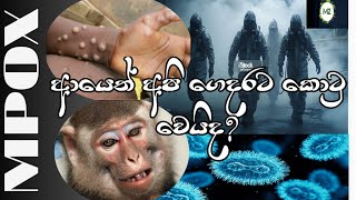 MPOX හෙවත් වඳුරු උණ​ MeddicZ [upl. by Llecram]