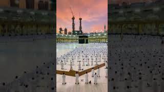 Minamata shaitan Madina mein kya 1millonviwes 1millionsubcriber 1millionsubcriber 1millonviwes 🕋 [upl. by Narrat460]