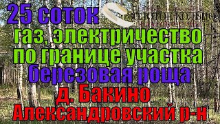 Участок 25 соток в березовой роще в деревне Бакино Александровский район Владимирская область [upl. by Ylil]