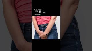 Causes of Dysuria [upl. by Yerok]