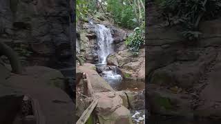 Waterfall in Pretoria national botanical gardens [upl. by Rumery251]