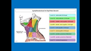 Lymphknotenlevel im KopfHalsBereich  Strahlentherapie Prof Hilke Vorwerk [upl. by Sylvie]