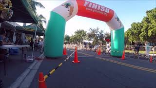 2020 Naples Daily News Half Marathon Finish Line Video [upl. by Adnalue217]