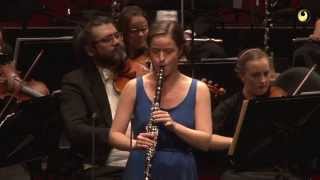 Wolfgang Amadeus Mozart Clarinet Concerto in A major K622 [upl. by Fredella]