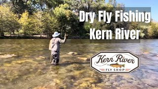 Kern River Dry Fly Fishing with Guy Jeans [upl. by Gracie]