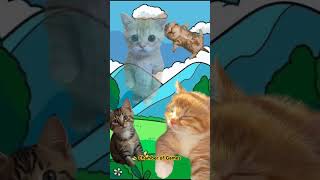 humor tenemos hambre dicen los gatitos cats cat [upl. by Spragens]