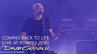 David Gilmour  Coming Back To Life Live At Pompeii [upl. by Dante]