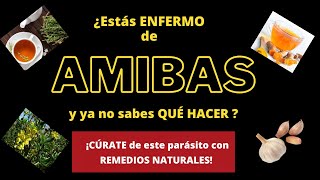 ¿ESTÁS ENFERMO DE AMIBAS Y YA NO SABES QUÉ HACER ¡Cúrate de este parásito con remedios naturales [upl. by Heron304]