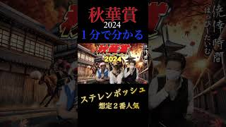 【秋華賞2024】１分で分かるステレンボッシュ [upl. by Desmond224]