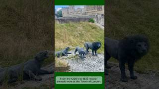 Lions in the Tower of London [upl. by Amoakuh958]