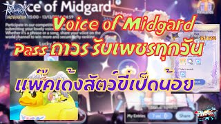 ROO EP 485  Voice of Midgard  Pass ถาวร รับเพชรทุกวัน  แพ๊คเด้งสัตว์ขี่เป็ดน้อย [upl. by Edobalo]