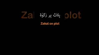 Zakat on Property in Urdu  Land or Plot [upl. by Chaffinch631]