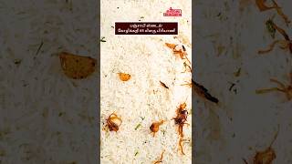 பஞ்சாபி ஸ்டைல்  கோழிக்கறி 65 மிளகு பிரியாணி 😋  Punjab Chicken 65 Pepper Biryani [upl. by Sicard]