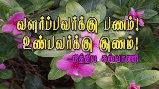 Health Benefits of Nithyakalyani 🌺அரிய பயன்களைத் தரும் மருத்துவச்செடி [upl. by Festatus]