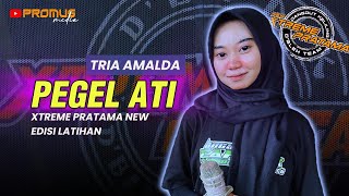 PEGEL ATI  TRIA AMALDA  XTREME PRATAMA NEW COVER 2024 [upl. by Inor578]