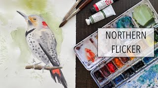 How to Paint a Bird in Watercolour  Northern Flicker [upl. by Rollet]