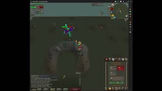 Two minute Zulrah kill 85 mage85 range blowpipetoxic trident [upl. by Anaek]