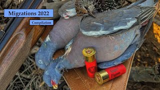 CHASSE aux OISEAUX MIGRATEURS  PASSAGE 2022  COMPILATION 1 [upl. by Vullo]